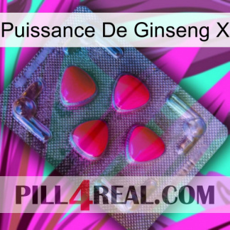 Ginseng Power X 13